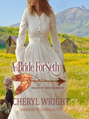 cover image of A Bride for Seth